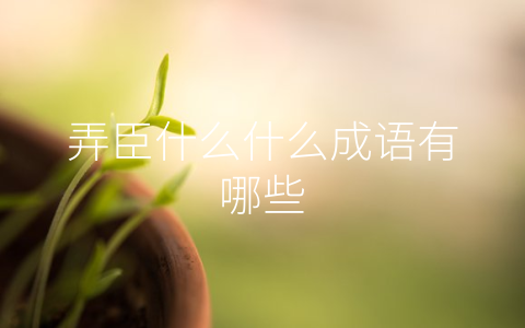 弄臣什么什么成语有哪些