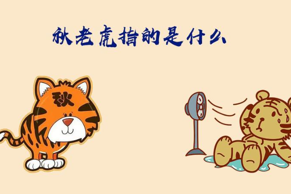 秋老虎指什么