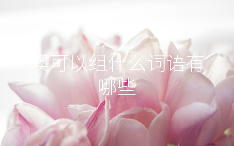 噢可以组什么词语有哪些