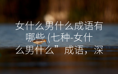 女什么男什么成语有哪些 (七种-女什么男什么”成语，深刻反映中国文化内涵)