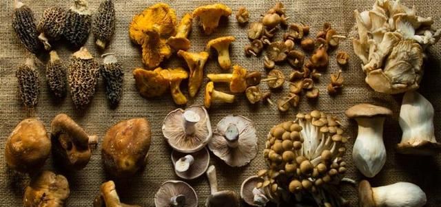 洗好得菌菇类能放几天 洗干净的白菜和菌菇如何存放过夜