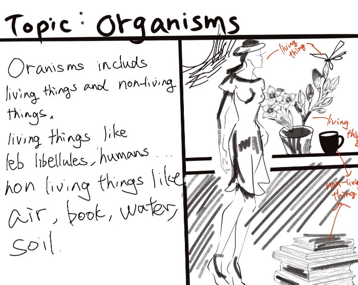 减少排放 英语_节约资源减少碳的排放英语作文_排放英语