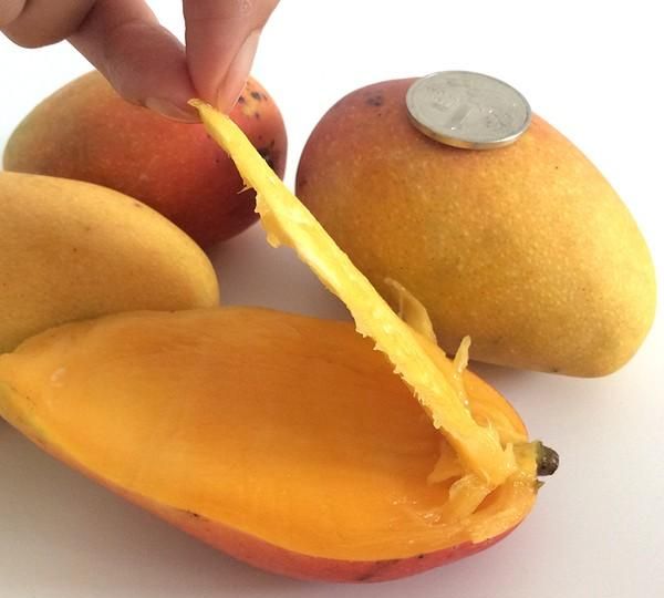 绾告牳鑺掓灉鎬庝箞鍒?鏍歌杽鐨勮姃鏋滄€庝箞绉?鍥?