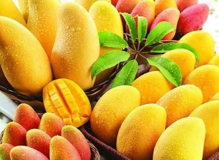 绾告牳鑺掓灉鎬庝箞鍒?鏍歌杽鐨勮姃鏋滄€庝箞绉?鍥?