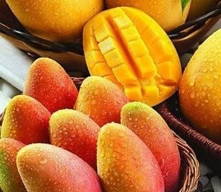 绾告牳鑺掓灉鎬庝箞鍒?鏍歌杽鐨勮姃鏋滄€庝箞绉?鍥?