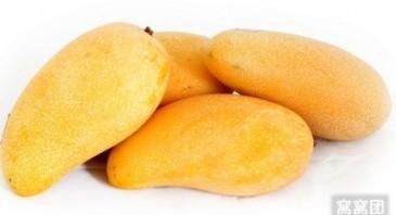 绾告牳鑺掓灉鎬庝箞鍒?鏍歌杽鐨勮姃鏋滄€庝箞绉?鍥?