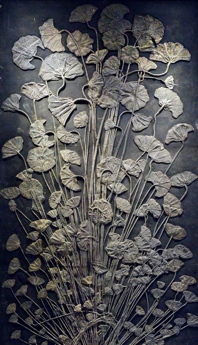 抱脸虫的原型是什么