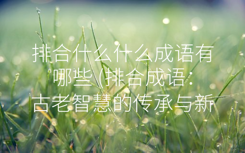排合什么什么成语有哪些 (排合成语：古老智慧的传承与新的启示)