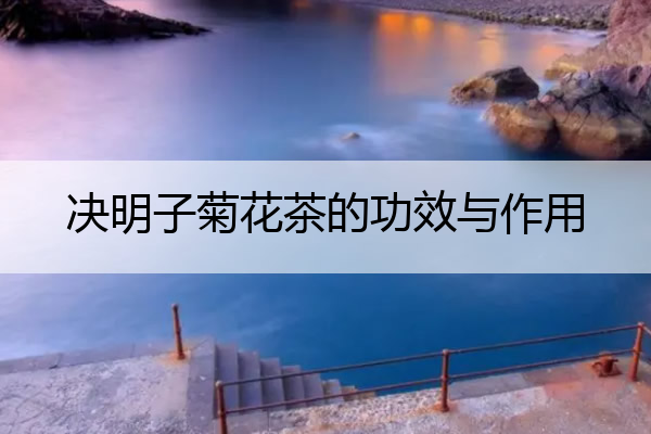 决明子菊花茶的功效与作用 蒲公英决明子菊花茶的功效与作用