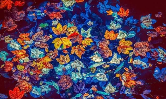 广东人为什么没有秋天的感觉 为什么广东没有秋天