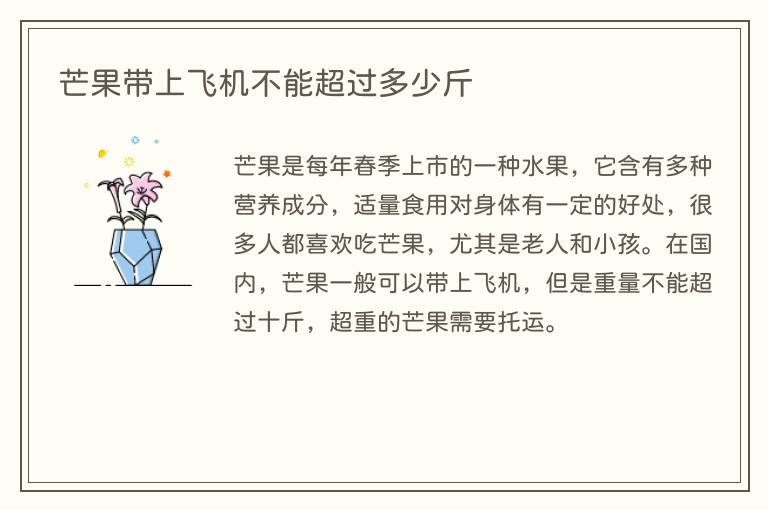 芒果带上飞机不能超过多少斤