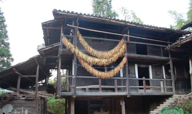 蜂蛹怎么拿最好拿呢