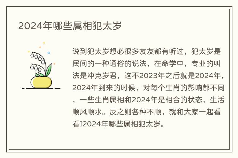 2024年哪些属相犯太岁