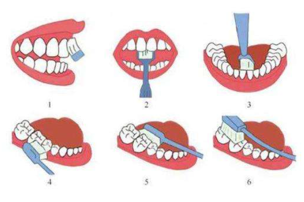 巴氏刷牙法正确步骤七个