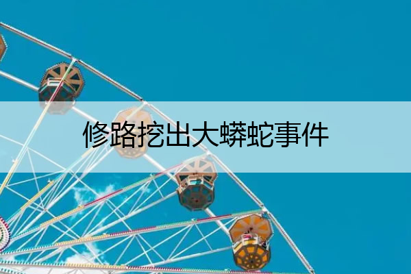 修路挖出大蟒蛇事件 修公路挖出大蛇