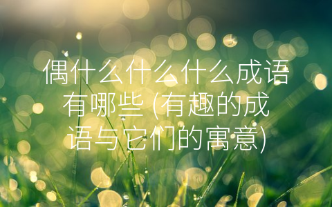 偶什么什么什么成语有哪些 (有趣的成语与它们的寓意)