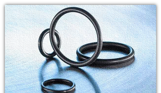 什么情况下应该使用氟橡胶密封件保养