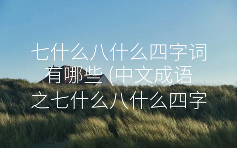 七什么八什么四字词有哪些 (中文成语之七什么八什么四字词)