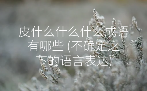 皮什么什么什么成语有哪些 (不确定之下的语言表达)