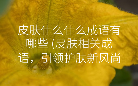 皮肤什么什么成语有哪些 皮肤相关成语 引领护肤新风尚。