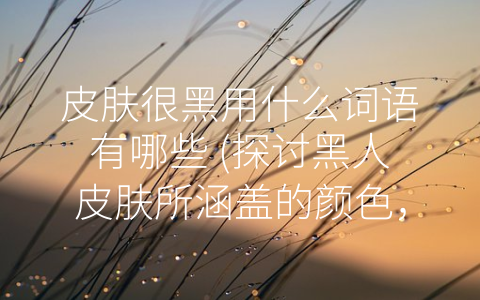 皮肤很黑用什么词语有哪些 (探讨黑人皮肤所涵盖的颜色，并寻找最佳的表达方式)