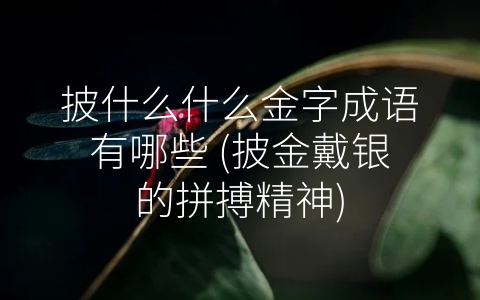 披什么什么金字成语有哪些 (披金戴银的拼搏精神)