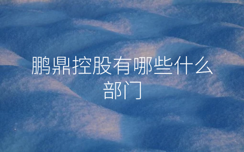 鹏鼎控股有哪些什么部门