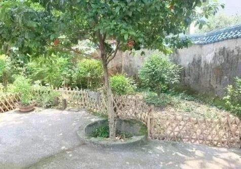 网上哪个算命大师准_网上算命准吗_算命准还是卜卦准