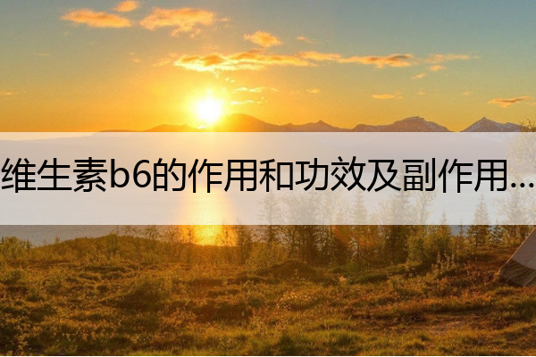 维生素b6的作用和功效及副作用 注射维生素b6的作用和功效及副作用