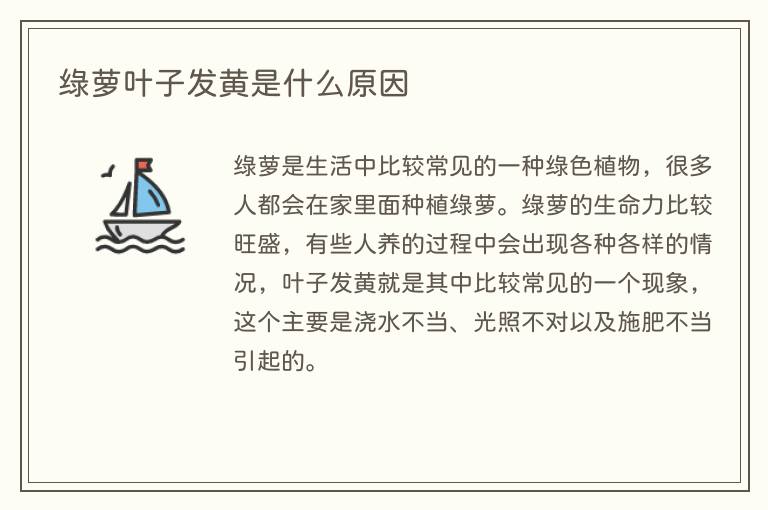 绿萝叶子发黄是什么原因