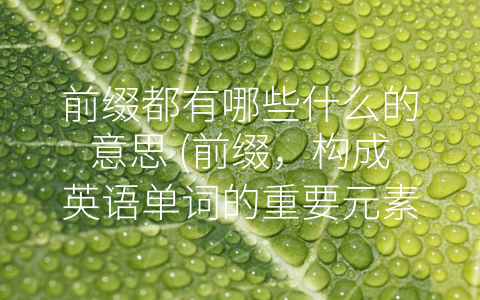 前缀都有哪些什么的意思 (前缀，构成英语单词的重要元素)