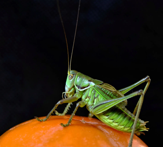 杏坛杯课堂教学比赛