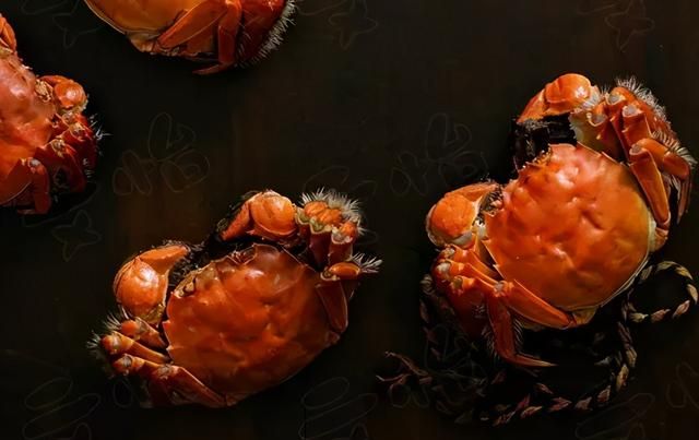 螃蟹什么季节吃母蟹和公蟹