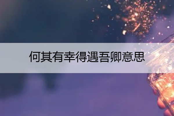 何其有幸得遇吾卿意思 何其有幸得遇吾卿 出处