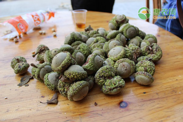 风流果产地分布在哪 怎么吃