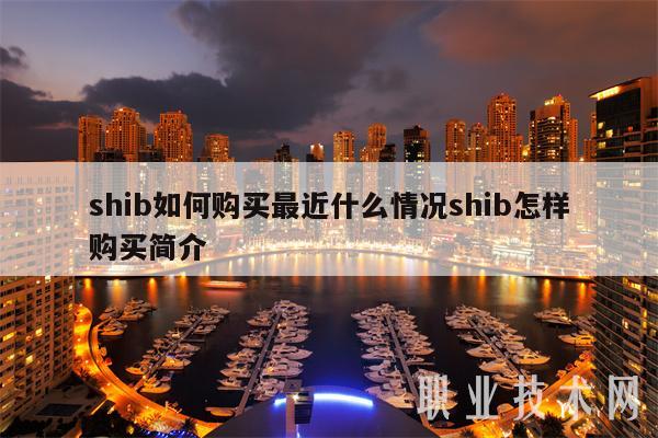 shib如何购买最近什么情况shib怎样购买简介