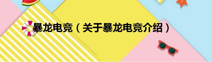 暴龙电竞 关于暴龙电竞介绍