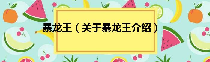 暴龙王 关于暴龙王介绍