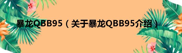 暴龙QBB95 关于暴龙QBB95介绍