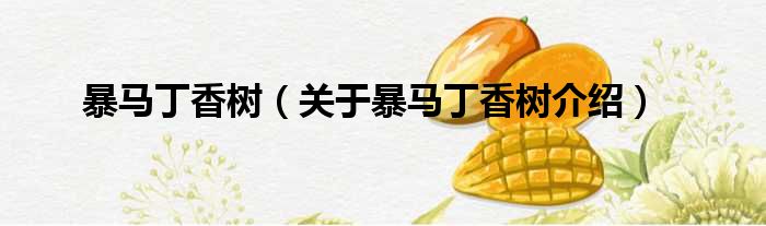 暴马丁香树 关于暴马丁香树介绍