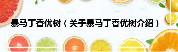 暴马丁香优树 关于暴马丁香优树介绍