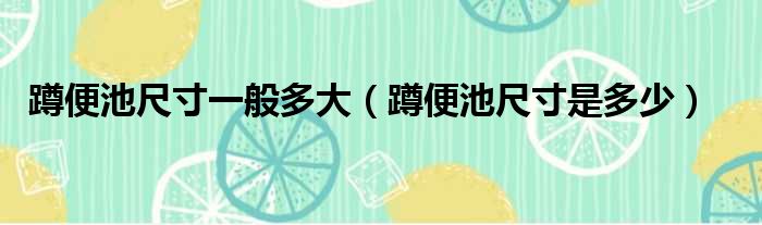 蹲便池尺寸一般多大 蹲便池尺寸是多少