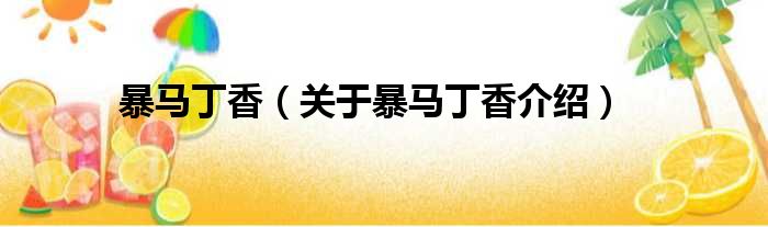 暴马丁香 关于暴马丁香介绍