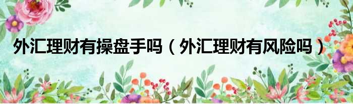 外汇理财有操盘手吗 外汇理财有风险吗