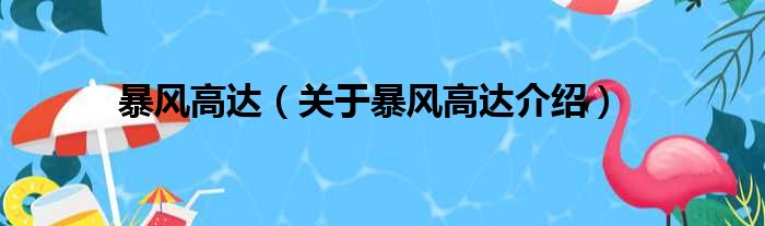暴风高达 关于暴风高达介绍