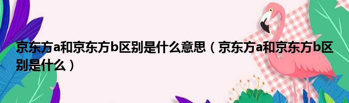 京东方a和京东方b区别是什么意思 京东方a和京东方b区别是什么