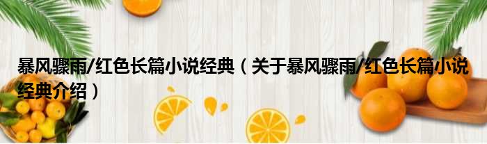 暴风骤雨/红色长篇小说经典 关于暴风骤雨/红色长篇小说经典介绍