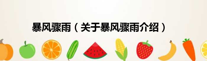 暴风骤雨 关于暴风骤雨介绍