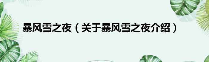 暴风雪之夜 关于暴风雪之夜介绍