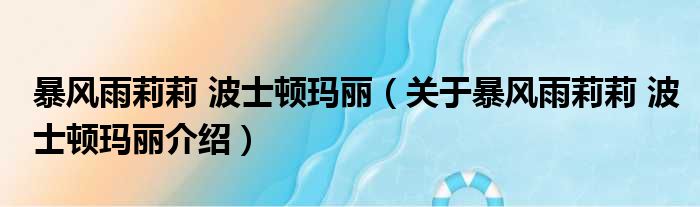 暴风雨莉莉 波士顿玛丽 关于暴风雨莉莉 波士顿玛丽介绍